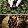 Venta al por mayor Tianma Xiaoqing mandarina cruda bronceada cabeza recogiendo mandarina cáscara palacio Pu 'er té maduro caja de regalo de té de mandarina Xiaoqing