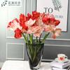 Flor Simulada Tacto Clivia Amaryllis Decoración Suave Diseño Arreglo Floral Decoración de Boda Decoración Estudio Fotográfico Venta Directa de Fábrica