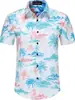 Camisa de Verano para Hombre de Manga Corta con Estampado 3D Estilo Hawaiano de Playa Casual con Cuello