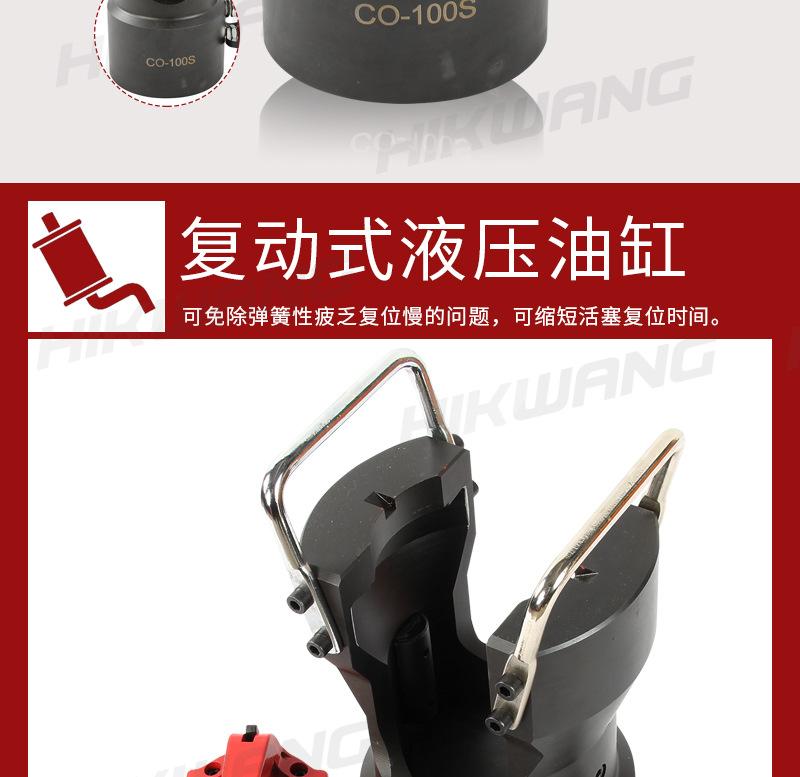 co-100s_07