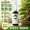 Solución Nutritiva Especial para Ciprés Calvo Promueve el Crecimiento, Fortalece Plántulas y Hojas, Previene Amarillamiento, Sequedad, Pudrición de Raíz y Crecimiento Lento, y Promueve la Fertilización