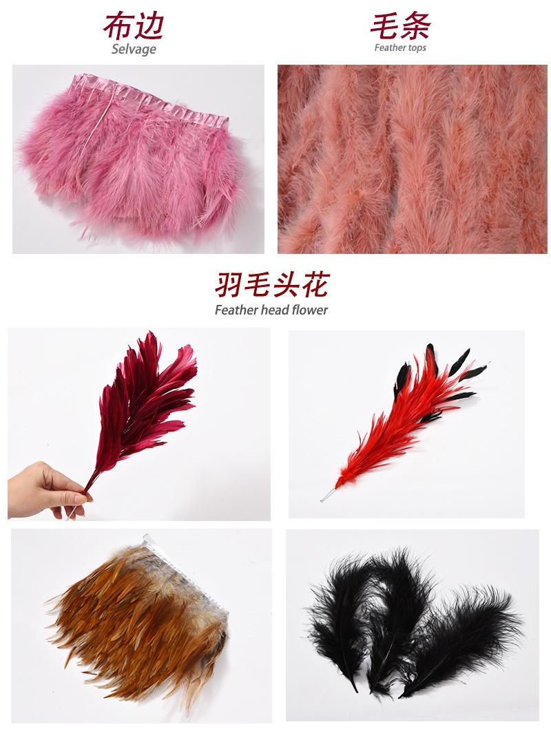 羽毛9