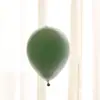 Globos Macaron de Doble Capa de 10 Pulgadas al por Mayor Transfronterizos Látex Engrosado Color Caramelo Set de Globos para Decoración de Fiesta