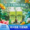 Agente Regenerador de Ação Rápida, Fertilizante Solúvel em Água, Poderosa Solução Nutricional Molecular Orgânica, Fertilizante Universal para Flores, Fertilizante para Plantas em Vasos para Prosperidade e Riqueza