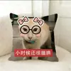 Almohada Naranja Fea de Broma Regalo de Cumpleaños Cabecera de Dormitorio Almohada Lumbar Cojín para Respaldo de Sala de Estar Cojín de Oficina Gatito