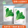Semillas de Col China al por Mayor de Fábrica, Verduras Rápidas de Otoño, Repollitos, Semillas de Col para Almacenamiento Invernal, Fénix de Fuego Yema de Huevo