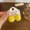 Brincos Novos Coloridos de Bola de Goma para Primavera e Verão 202 Brincos Simples Populares Doces de Alto Padrão Acessórios de Orelha Versáteis Estilo Floresta