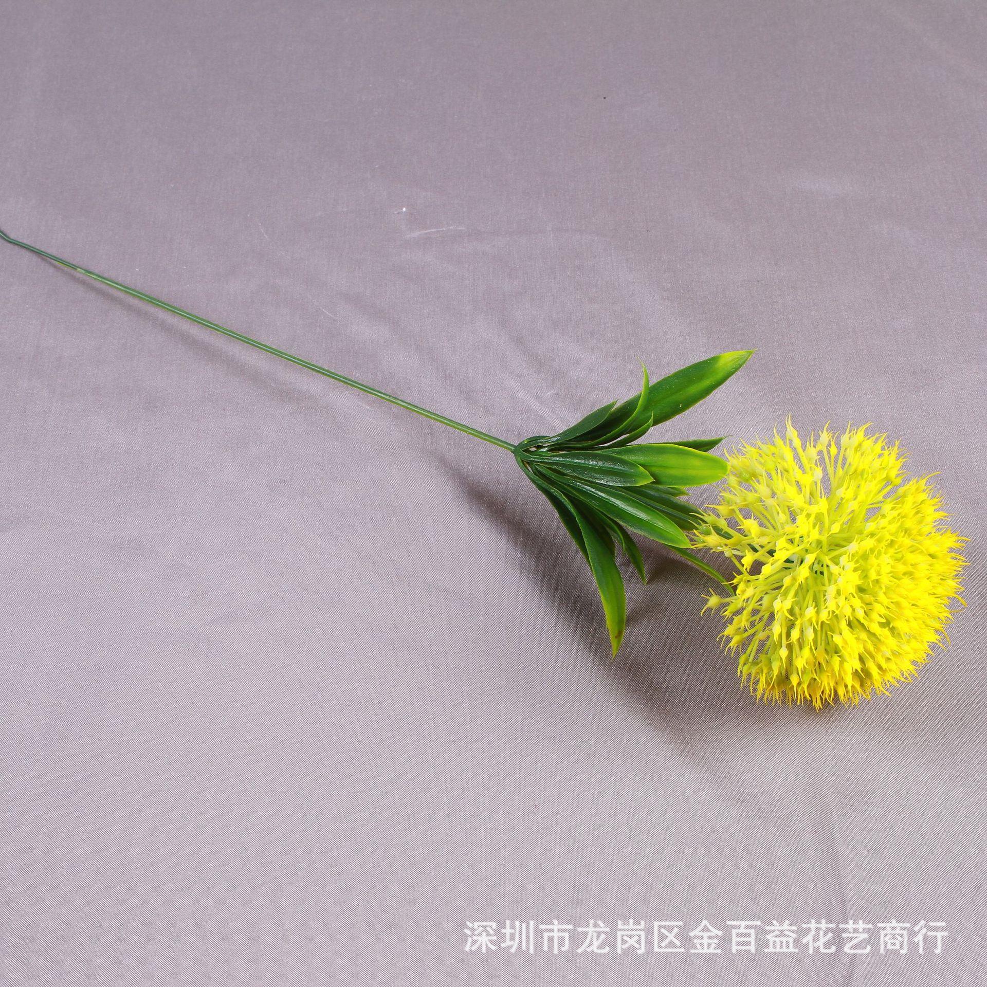IMG_8549_副本.jpg