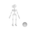 Impressão 3D Enfeites Sr. Caveira Esqueleto Deformação Mãos Móveis Brinquedos Artesanato para Presente Brinquedos Divertidos da Moda