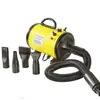 Secador de Pelo para Gatos y Perros Estándar Americano, Británico y Europeo 110V220V Secador de Pelo para el Hogar Ajuste Continuo de Velocidad Soplador de Agua para Mascotas