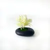 Nuevo Maceta Pequeña Poco Profunda Piedra Negra Malla 5 Plantas Acuáticas Bonsái Pequeño Oficina en Casa Escritorio Flor Artificial Adornos de Bonsái