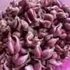 Cebolletas de granja, semillas de cebolla de fuego de piel roja y morada para macetas en el balcón, cebolletas de cuatro estaciones, aceite de cebolleta, cebolletas secas crujientes, al por mayor