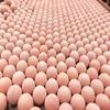 Bola de Piedra Volcánica para Aromaterapia, Bola Universal Absorbente de Aceite, Material Cerámico, Bola de Piedra Volcánica Porosa Calcinada