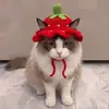 Gorro Lindo y Divertido para Mascota Disfraz de Gato Accesorio para la Cabeza Accesorios para Perro Collar Adornos Tejidos Nuevos 2026