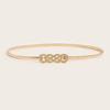 Moda Nueva Cadena de Cintura de Resorte de Metal Combinable para Mujer Cadena Elástica con Hebilla Tejida de Metal Combinable Cinturón Delgado