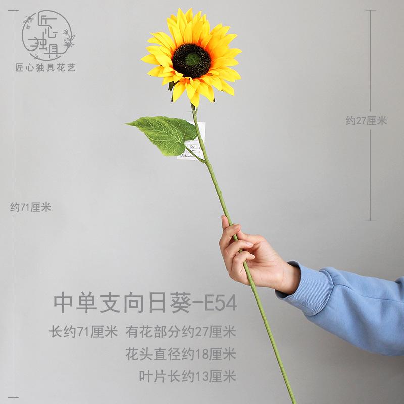 中单支向日葵 E54