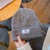 Sombrero de marca de moda de estilo japonés, sombrero de lana para hombres y mujeres, sombrero de punto de otoño e invierno, sombrero de calle grueso y cálido con protección para los oídos, sombrero para el frío.