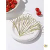 Brochetas Desechables para Frutas, Brochetas de Bambú, Tenedores para Frutas, Palillos Artísticos, Brochetas para Cócteles, Brochetas para Sándwiches, Brochetas para Hamburguesas, Brochetas para Frutas Confitadas
