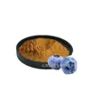 Polvo de Extracto de Arándano 10:1 Materia Prima de Producto Alimenticio y de Salud Extracto Vegetal Soluble en Agua Procesamiento de Bebidas Sólidas Personalización