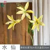 Narciso Artificial Narciso de 3 Cabezas Flores de Lirio para Decoración de Salón de Banquetes de Boda Decoración de Fondo de Flor de Lirio Flores Falsas