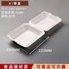 Caja Desechable para Pastel de Arroz con Mantequilla, Lonchera para Llevar, Caja de Pulpa para Hamburguesa, Caja Degradable y con Olor para Empacar Pastel