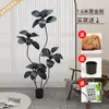 Planta Artificial Verde Grande Black Diamond Árbol de Goma Planta en Maceta de Interior para Sala de Estar Decoración de Planta de Árbol Imitación de Lujo Ligero de Gama Alta