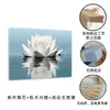 Amazon Loto Blanco y Piedra Zen Negra Arte de Pared para Sala de Yoga Lienzo Pintura sin Marco Decoración para Meditación Spa Dormitorio