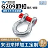 G209 Manilha Arco Estilo Americano com Revestimento em Pó para Carregamento e Descarregamento, içamento, Aço Carbono Forjado, Peça de Conexão para içamento de Cabo de Aço Eletrogalvanizado