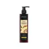 Champú de Jengibre Inglés Completo Control de Grasa Champú con Fragancia Champú Kormesic Acondicionador