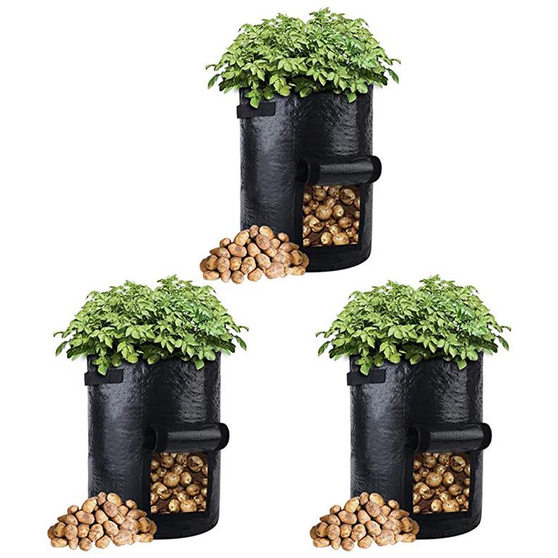 61fYqoNOYML._AC_SX679_