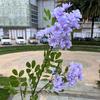 Arreglo de Escena de Flores Artificiales Naturales y Salvajes Estilo Bosque Nuevo, Arte Floral Floral de Flores Artificiales Estilo Bosque Azul Morado Estilo Jardín Venta al por Mayor