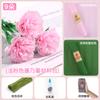 Ramo del Día de la Madre clavel papel crepé flor hecha a mano bolsa de material flor de papel crepé completa para hacer tú mismo flor tridimensional