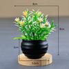 Planta verde simulação flor mini estrelas planta em vaso bonsai ornamentos de mesa fabricantes atacado decorações para casa flores