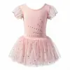 Vestido de Balé Infantil para Meninas, Vestido de Dança Bordado com Estrelas e Mangas Curtas, Mangas Bufantes de Tule, Vestido de Prática, Vestido Tutu de Performance