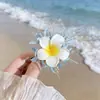 Pinzas para el Cabello Serie Océano con Flores Preservadas, Estrellas de Mar, Conchas y Bayas para Viajes a la Costa y Fotos de Vacaciones