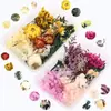 Personaliza Todo Tipo de Flores Secas Inmortalizadas Mixtas Paquete de Materiales DIY Flores Reales Flores Secas Vela Abanico Marco de Fotos Caja de Materiales de Flores Secas