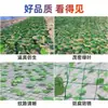Red de Hojas Verdes para Reforestación y Protección de Montañas, Red de Hojas Simuladas para Decoración de Revegetación de Minas, Red de Hojas Artificiales, Red de Cubierta de Plástico