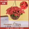 Plantas Colgantes Artificiales Colgantes de Pared Lirio Cesta Pequeña de Flores Flores Falsas Margarita Pequeña Flor de Gloria de la Mañana Rama Decoración del Hogar