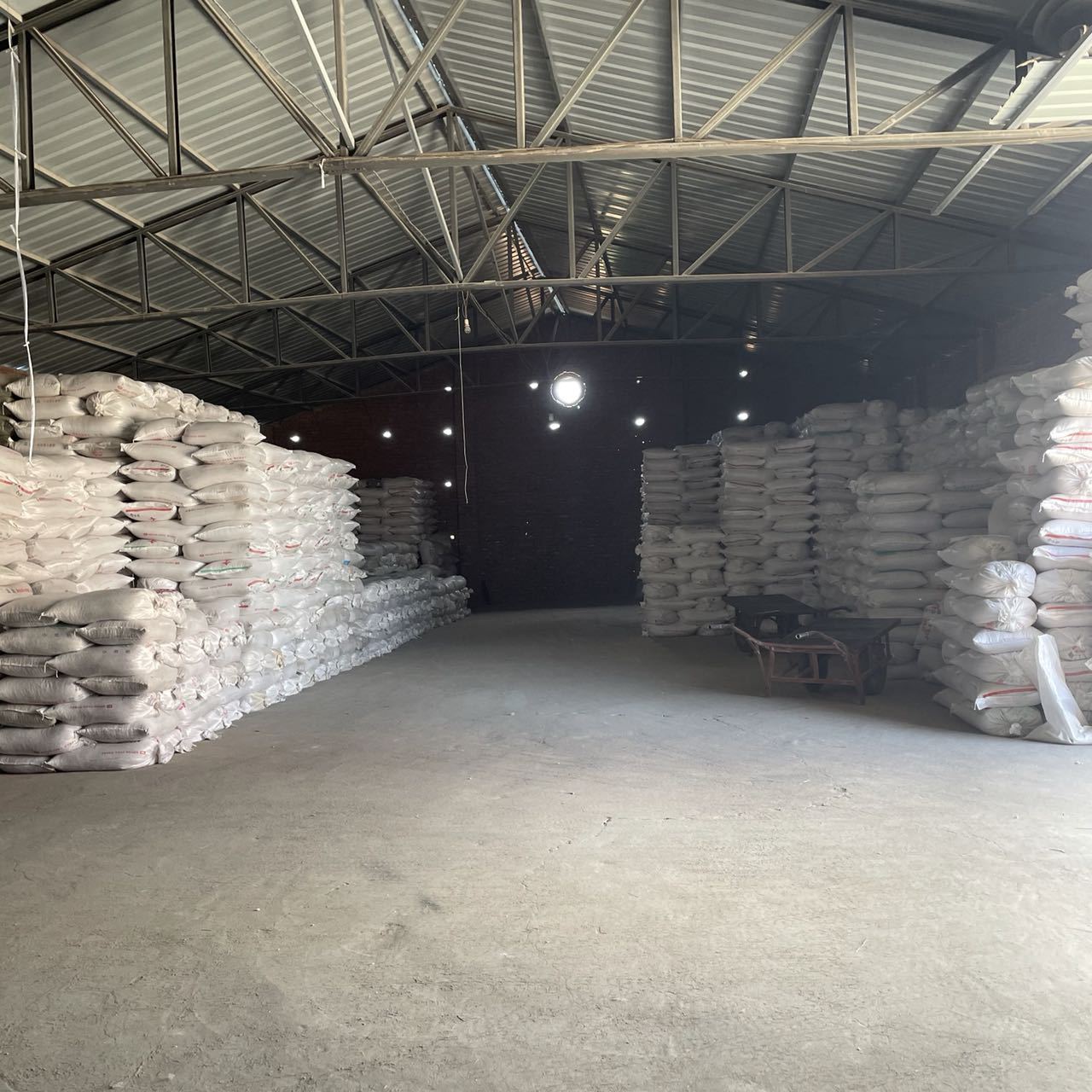 1d52ed9554af5266ebf590ef811895