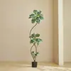 Plantas Verdes Artificiais, Árvore de Borracha Preta de Luxo de Alta Qualidade, Figueira Lira, Árvore Decorativa Artificial de Chão de Alta Qualidade para Sala de Estar Interna