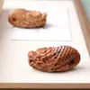 Adorno de Tortuga Dragón Pixiu Tallado en Madera de Azufaifo, Amuleto de Riqueza, Decoración de Escritorio, Figura de Gato, Regalo Decorativo para Oficina