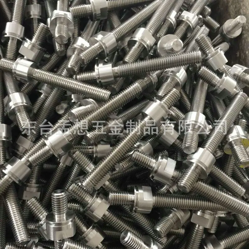 SS316 Bolt Screw