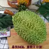 Modelo de Durian Simulado Modelo de Pitaya Modelo de Piña Accesorios de Exhibición de Frutas Modelos de Frutas y Verduras Falsas