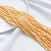 Conchas Naturales Tubo Redondo Pequeño Colorido Espaciador Cuentas Sueltas Cuentas Barril Pulsera DIY Cuentas para Hilo Accesorios de Joyería Productos Semi-Terminados