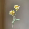 Venda Quente Transfronteiriça Galhos de Flores Coloridos Mistos Feitos à Mão Lã Tricotada Narciso Margarida Flores Artificiais Decoração de Casa Presentes