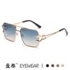 2025 Nuevas Gafas de Sol Retro Europeas y Americanas de Doble Puente con Caja Moda para Hombre Gafas de Sol con Cabeza de Leopardo Trendy para Mujer Venta al por Mayor Transfronteriza