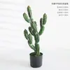 Decoración de ventana de escena interior planta grande columna de cactus nórdico planta verde artificial columna Wu Lun cactus de simulación