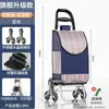 Carrito de compras ligero para personas mayores, carretilla de mano portátil para transportar mercancías, carrito plegable para uso doméstico