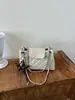 Bolso de cadena acolchado de moda transfronterizo de comercio exterior para mujer, nuevo bolso de nicho de alta gama para el día a día, bolso versátil de hombro y cruzado