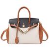 Tendência europeia e americana all-match bag 2023 personalizado contraste de cores grande capacidade tote bag nova moda senhoras bolsa de platina